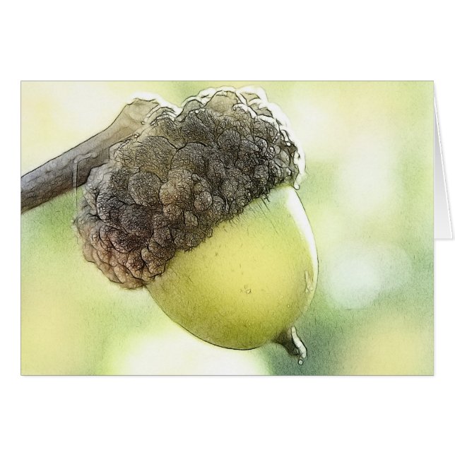 Gland (Devant horizontal)