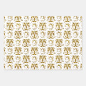 Glansstrepen en -pleisters met goudfaux inpakpapier vel (Voorkant)