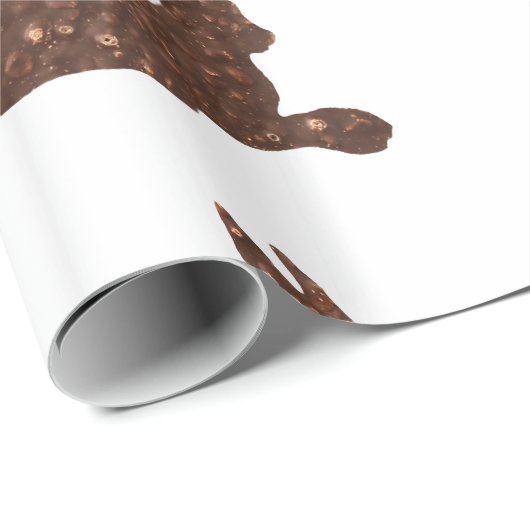 Glanzend inpakpapier, chocolade Pasen Cadeaupapier (Rol Hoek)