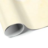 Glanzend opvulpapier cadeaupapier (Rol Hoek)