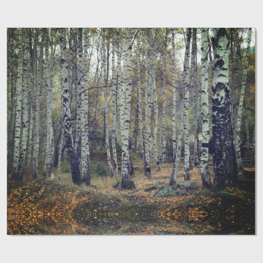 Glanzend overlooppapier, 30 x 6 ft cadeaupapier (Vlak)