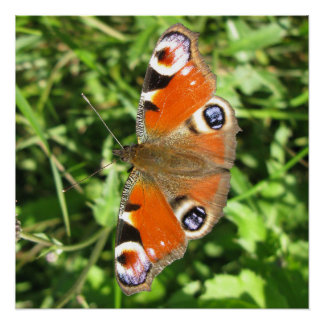 Glanzend Poster Perfect Poster