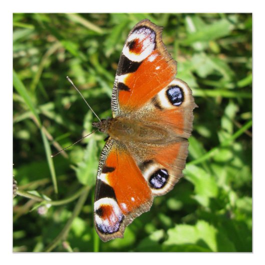 Glanzend Poster Perfect Poster (Voorkant)