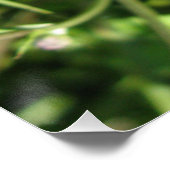 Glanzend Poster Perfect Poster (Hoek)