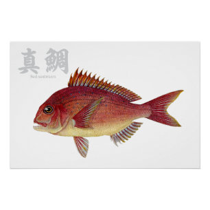 Glanzend Poster Perfect Poster