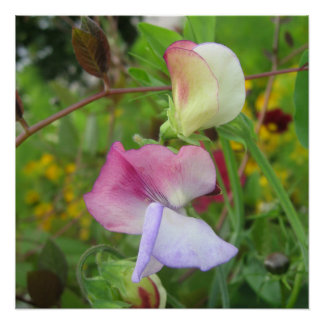 Glanzend Poster Perfect Poster