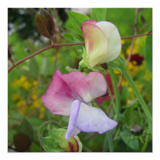 Glanzend Poster Perfect Poster (Voorkant)