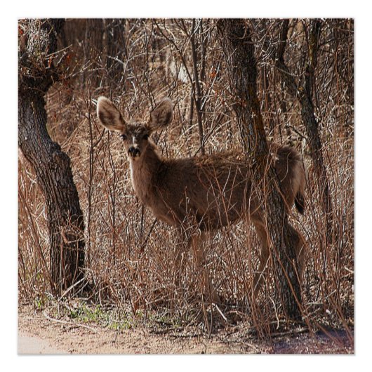 Glanzend Poster Perfect Poster (Voorkant)