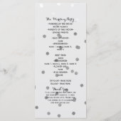 Glanzend Zilveren Glamour Glam Chique Modern Progr Programma (Achterkant)