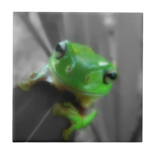 glanzende groene kikker tegeltje