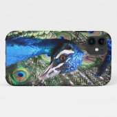Glanzende Pauw Case-Mate iPhone Case (Achterkant (horizontaal))