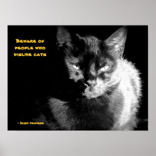 Glanzende zwarte kat met spreekwoord poster