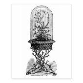  glas Dome Terrarium Rubber Art Stempel (Afrduk)