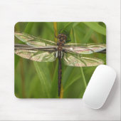 Glas in lood Wings Dragonfly Mousepad Muismat (Met muis)