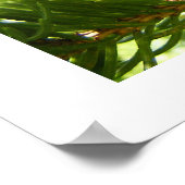 "Glas in lood Wings" Poster (Hoek)