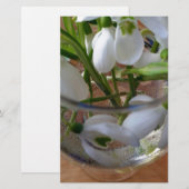 glas sneeuwval briefpapier (Voorkant / Achterkant)