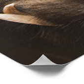 Glasbril van wilde zwijnen buiten poster (Hoek)