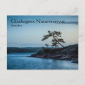 Glaskogen Zweden Briefkaart (Voorkant)