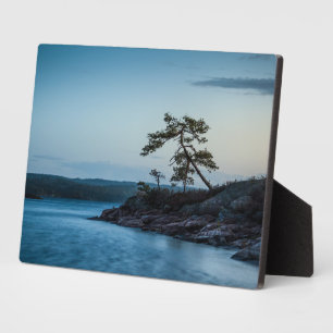 Glaskogen Zweden Fotoplaat