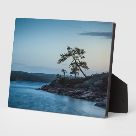Glaskogen Zweden Fotoplaat (Zijkant)