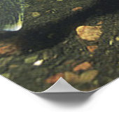 Glasogen Print van Snoekbaars (Hoek)