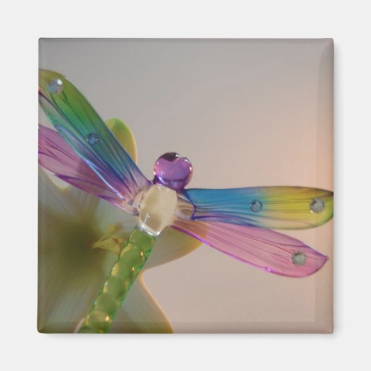 Glass Dragonfly Magnet Magneet (Voorkant)