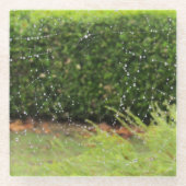 Glass Onderzetter - Spinnenweb met regendruppels (Voorkant)