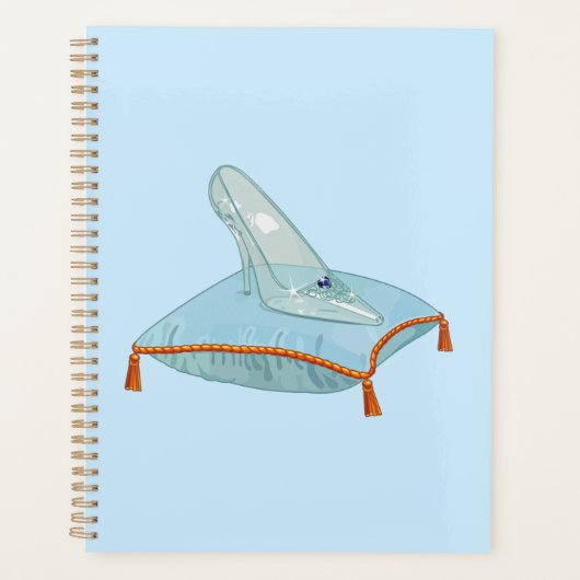 Glass Slipper (Devant)