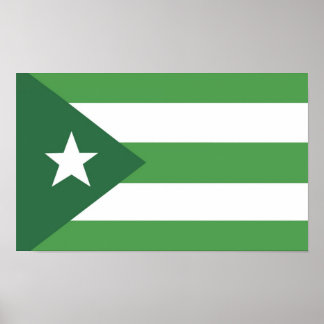 Glassjaw Nation Flag Poster