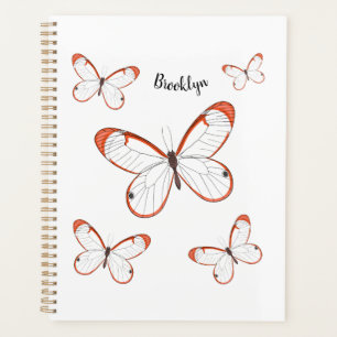 Glasswing butterfly cartoon illustration 