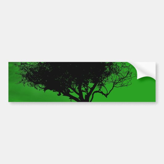 Glastonbury Hawthorn. Boom op Hill. Groen zwart. Bumpersticker (Voorkant)