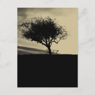 Glastonbury Hawthorn. Boom op Hill. Sepia Color. Briefkaart