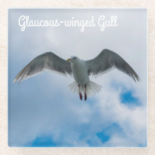 Glaucoskleurige meeuw glazen onderzetter