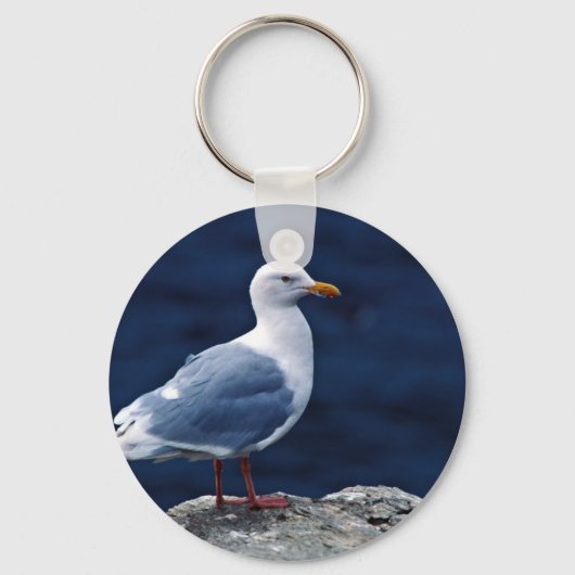 Glaucous Gull Sleutelhanger (Voorkant)