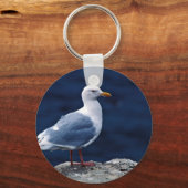 Glaucous Gull Sleutelhanger (Voorkant)