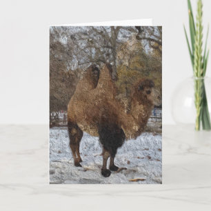 Glazed Camel Art #8083 Kaart