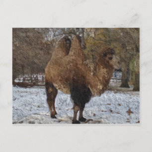 Glazed Camel Art Briefkaart