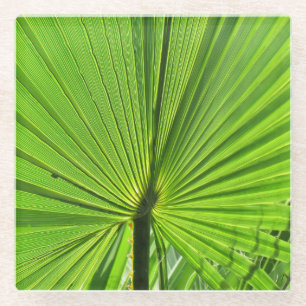 Glazen Onderzetter - Palmleder