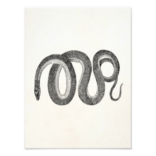 glazen slang - retiele Sjabloon leeg Foto Afdruk