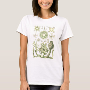 Glazen sponzen t-shirt