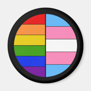 GLBT Solidarity Magnet Magneet