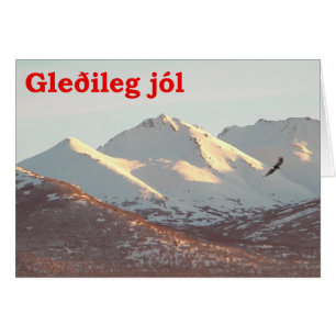 Gleðileg Jól - aigle d'hiver