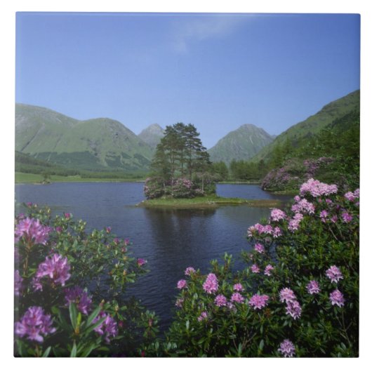 Glen Etive, Hooglanden, Schotland Tegeltje (Voorkant)