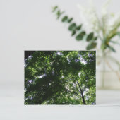 Glen Helen Maple Briefkaart (Staand voorkant)