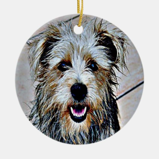 Glen of Imal Terrier Keramisch Ornament (Voorkant)