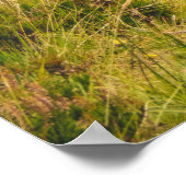 Glencoe Landschap Poster (Hoek)