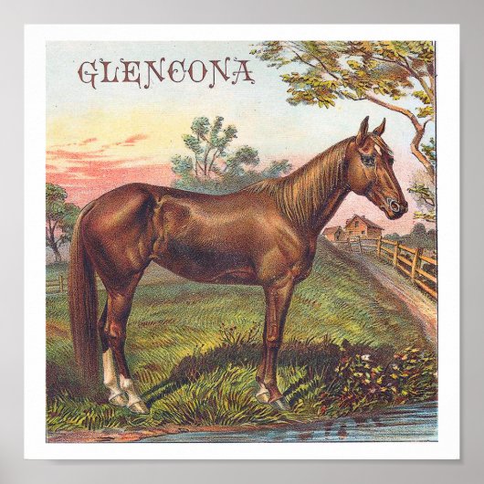 Glencona  Chestnut Racing Horse Poster (Voorkant)