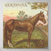 Glencona Poster (Voorkant)
