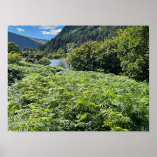 Glendalaugh-meren County Wicklow Ierland Europa Poster