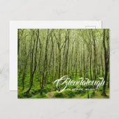 Glendalough, County Wicklow, Ierland Briefkaart (Voorkant / Achterkant)